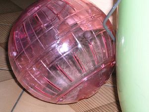 boule1.jpg