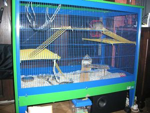 cage6.jpg